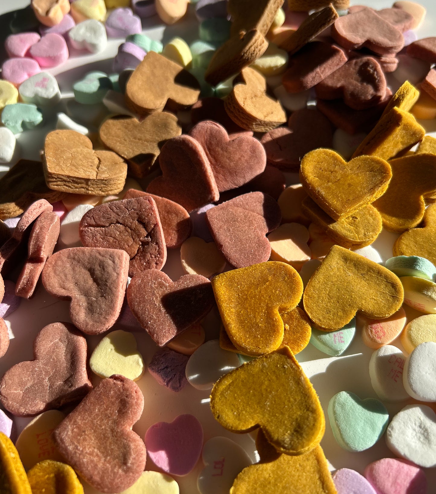 Puppy Love Bites
