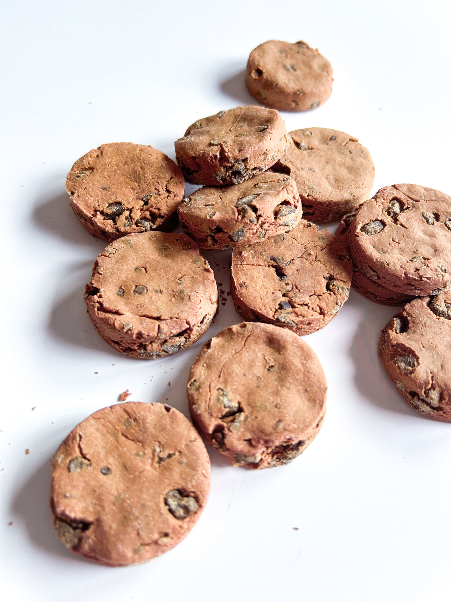 Choco Dog Kookies
