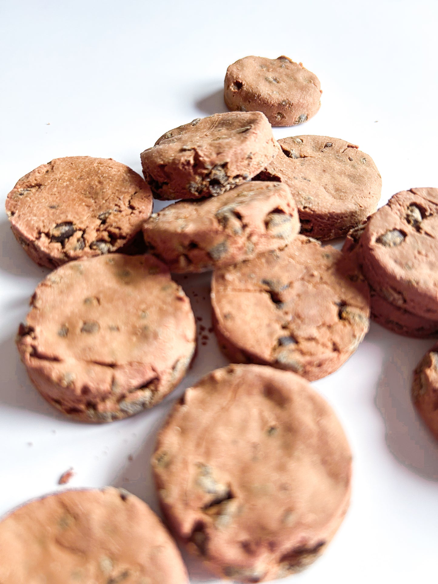 Choco Dog Kookies