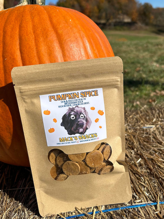 Pumpkin Spice Crunchy Dog Treats