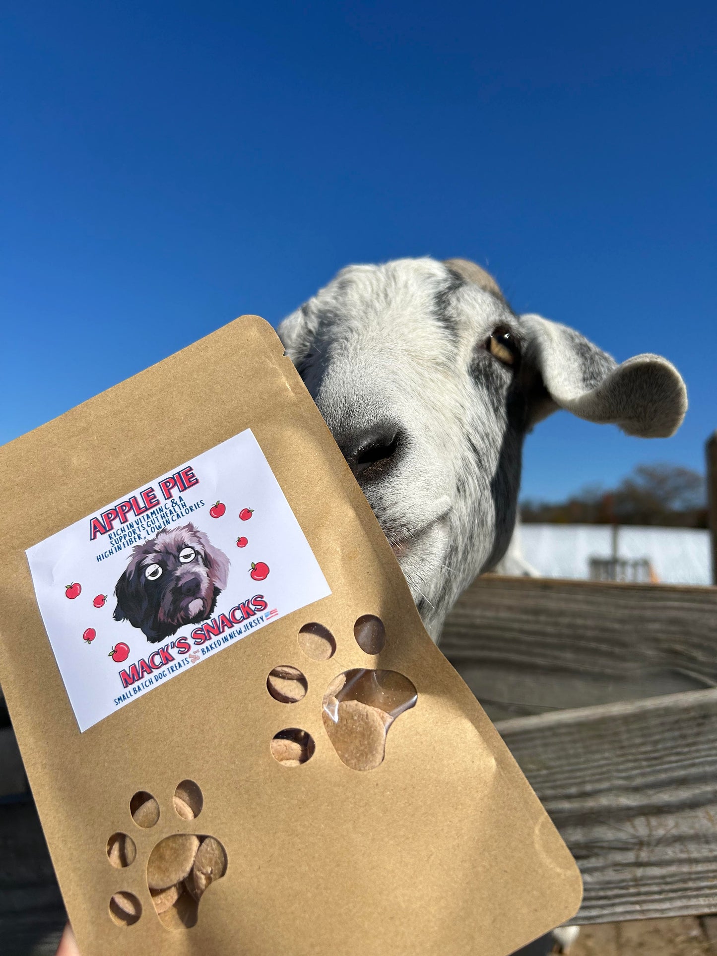 Apple Pie Crunchy Dog Treats