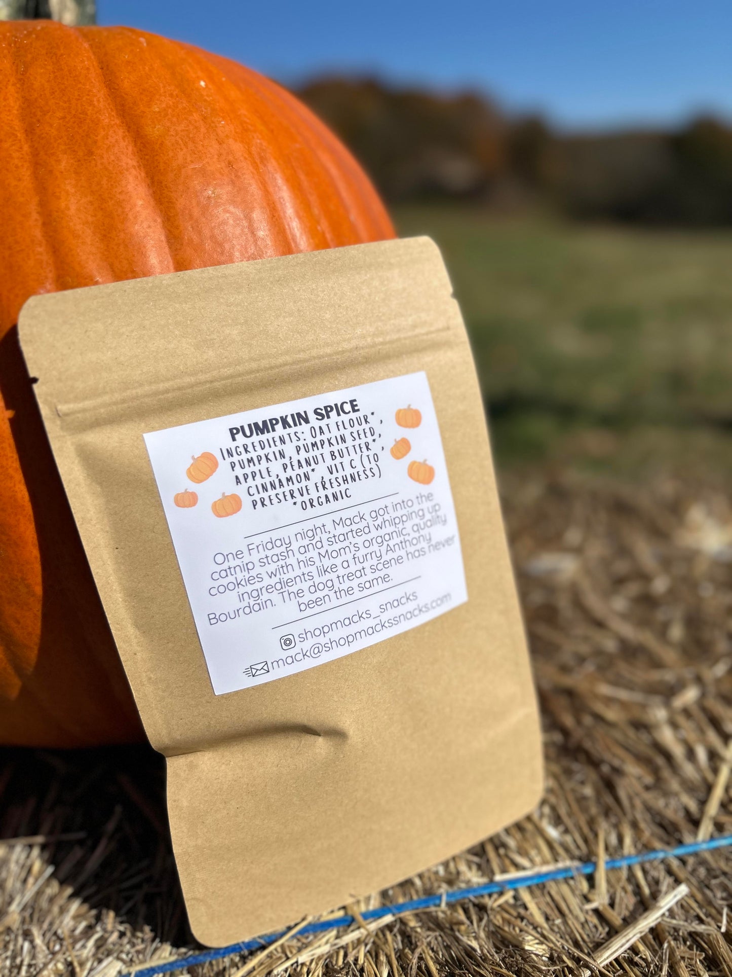 Pumpkin Spice Crunchy Dog Treats