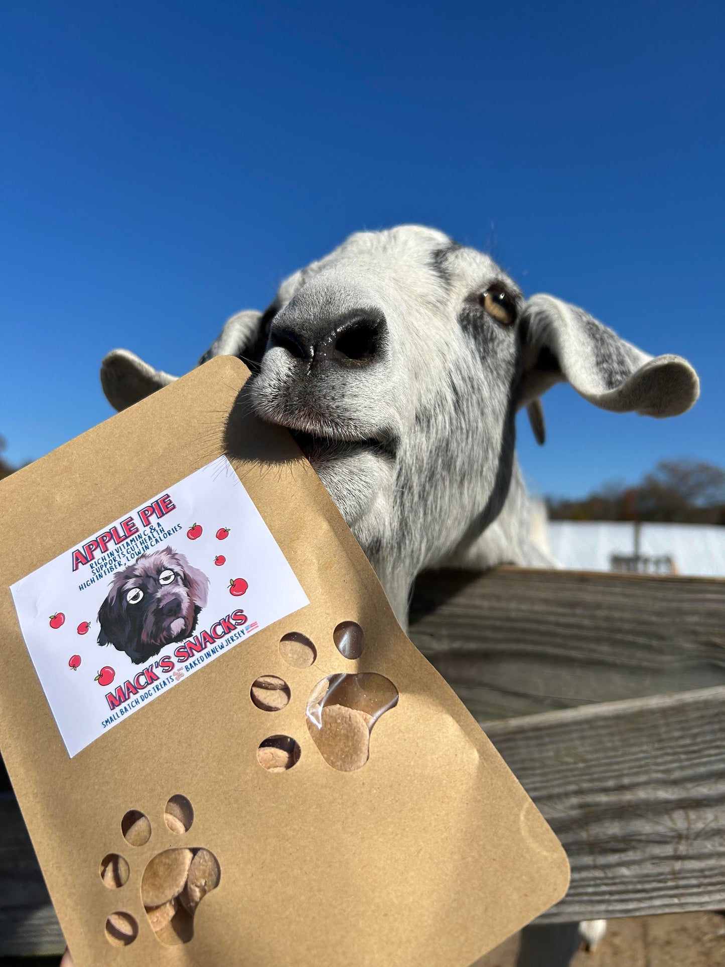 Apple Pie Crunchy Dog Treats